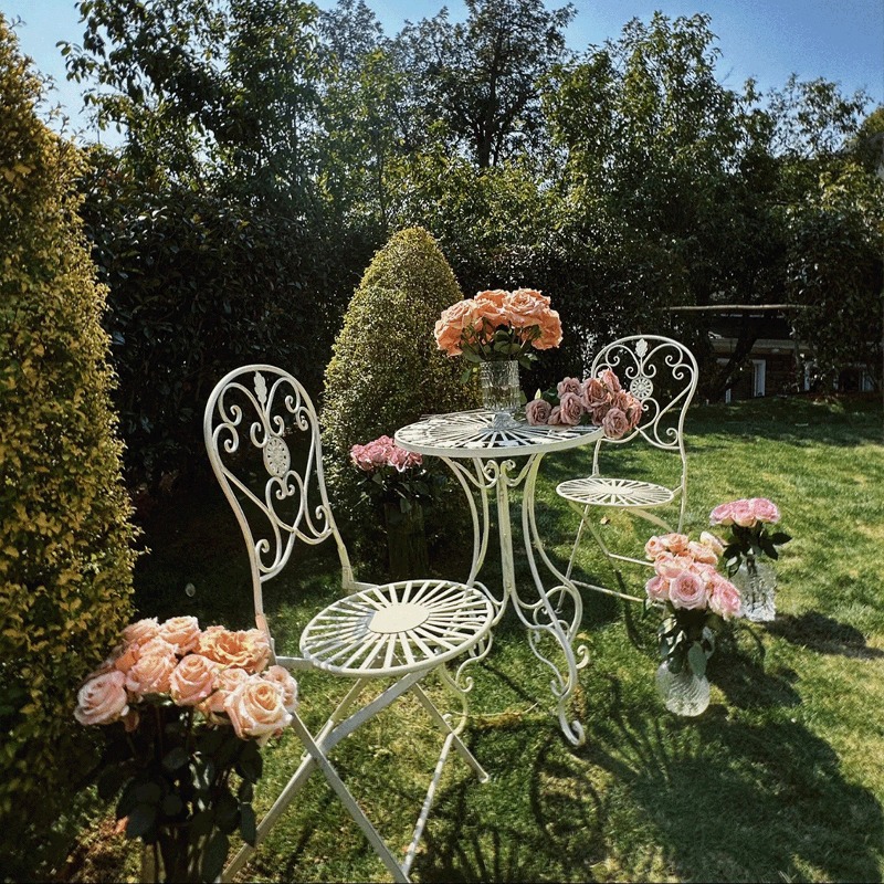 Franse vintage ijzeren tafel e - Outdoor Furniture Iron recensie en prijs